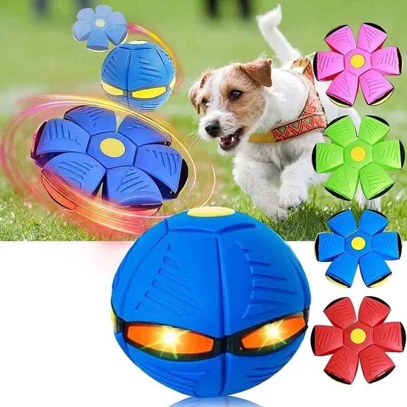 Disque volant interactif soucoupe volante balle chien jouets Transformable en plein air chien formation jouet Pelota chiens formation jouets Accessoire