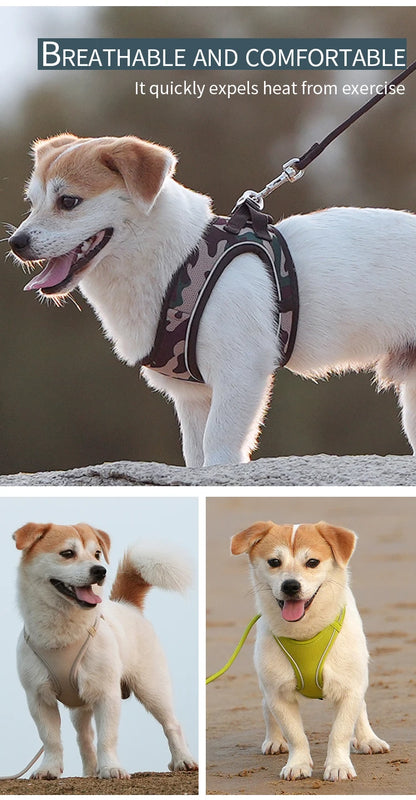 Ensemble de laisse de harnais pour chien, pour petit et moyen chien, harnais réfléchissant réglable pour chiot et chat, gilet pour animaux de compagnie, Chihuahua Yorkies, marche en plein air