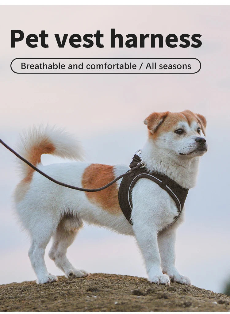 Ensemble de laisse de harnais pour chien, pour petit et moyen chien, harnais réfléchissant réglable pour chiot et chat, gilet pour animaux de compagnie, Chihuahua Yorkies, marche en plein air