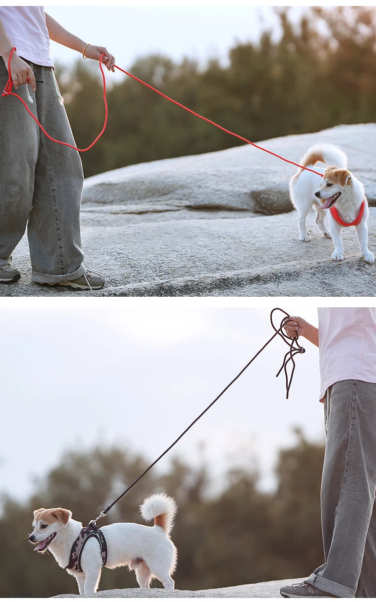 Ensemble de laisse de harnais pour chien, pour petit et moyen chien, harnais réfléchissant réglable pour chiot et chat, gilet pour animaux de compagnie, Chihuahua Yorkies, marche en plein air